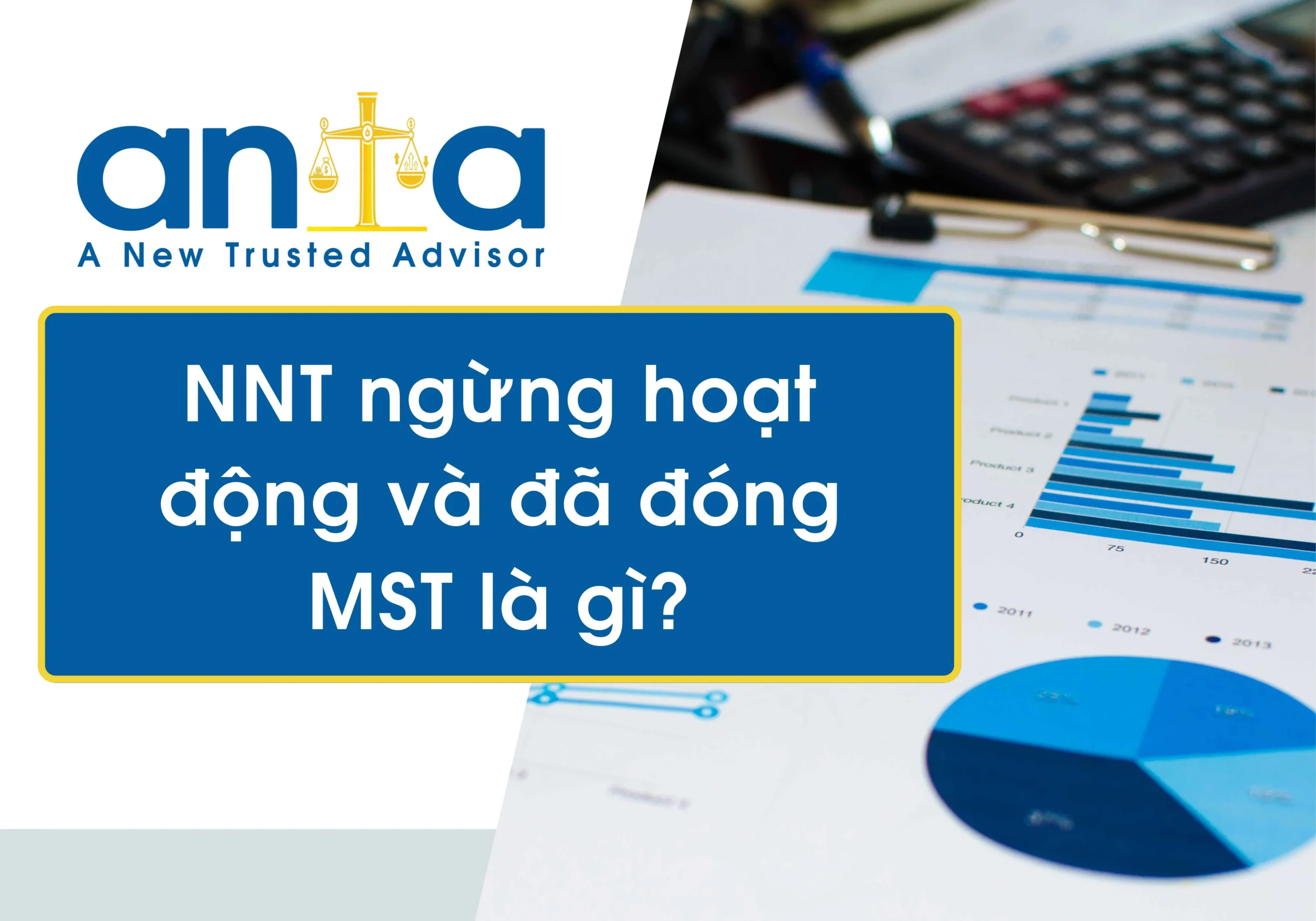 NNT ngừng hoạt động và đã đóng MST là gì